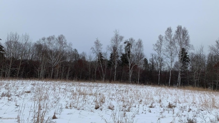 Minnesota Commercial Development Land for Sale by Auction - image 31