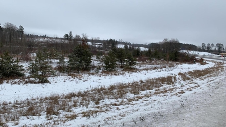 Minnesota Commercial Development Land for Sale by Auction - image 26