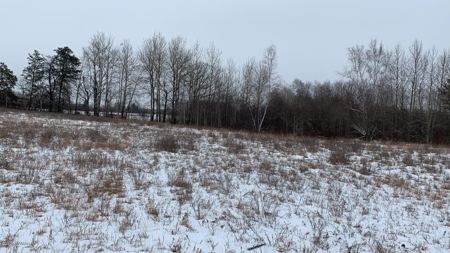 Minnesota Commercial Development Land for Sale by Auction - image 30