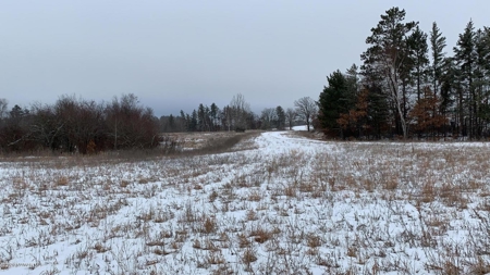 Minnesota Commercial Development Land for Sale by Auction - image 13