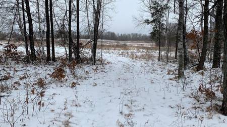 Minnesota Commercial Development Land for Sale by Auction - image 28