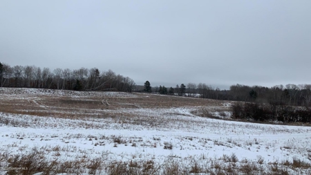 Minnesota Commercial Development Land for Sale by Auction - image 25