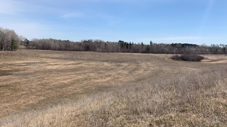Minnesota Commercial Development Land for Sale by Auction - image 6