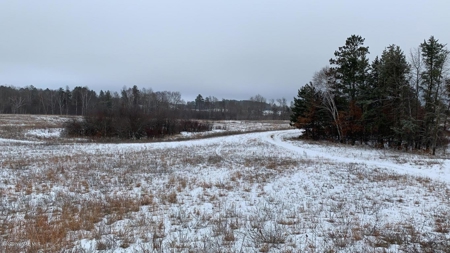 Minnesota Commercial Development Land for Sale by Auction - image 10