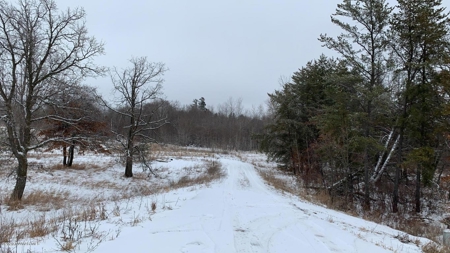Minnesota Commercial Development Land for Sale by Auction - image 17
