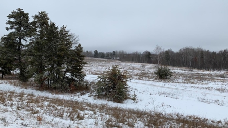Minnesota Commercial Development Land for Sale by Auction - image 14
