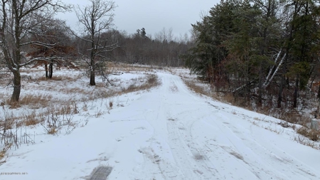 Minnesota Commercial Development Land for Sale by Auction - image 18