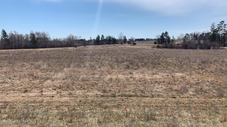 Minnesota Commercial Development Land for Sale by Auction - image 3
