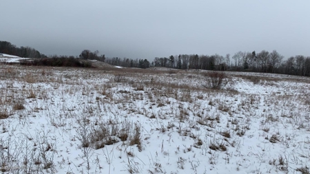 Minnesota Commercial Development Land for Sale by Auction - image 36