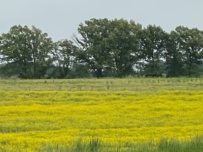 59 Acre Farm In Barren County, KY AT Auction, Coming Soon... - image 34