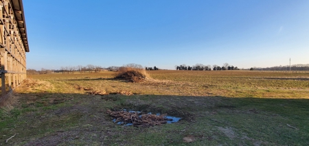 59 Acre Farm In Barren County, KY AT Auction, Coming Soon... - image 2