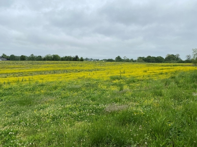 59 Acre Farm In Barren County, KY AT Auction, Coming Soon... - image 31