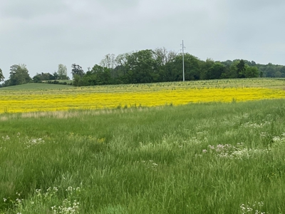 59 Acre Farm In Barren County, KY AT Auction, Coming Soon... - image 36