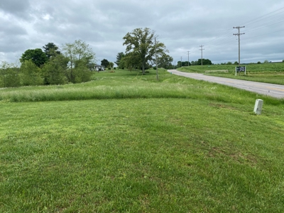 59 Acre Farm In Barren County, KY AT Auction, Coming Soon... - image 20