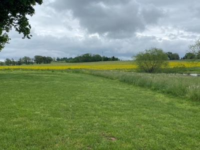 59 Acre Farm In Barren County, KY AT Auction, Coming Soon... - image 24
