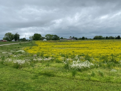 59 Acre Farm In Barren County, KY AT Auction, Coming Soon... - image 28