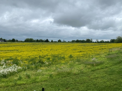59 Acre Farm In Barren County, KY AT Auction, Coming Soon... - image 29