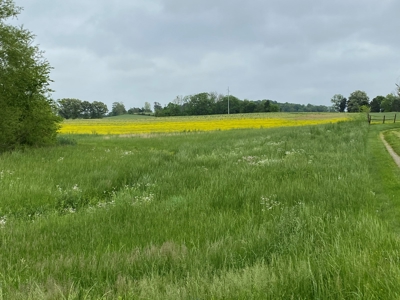 59 Acre Farm In Barren County, KY AT Auction, Coming Soon... - image 37