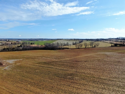 59 Acre Farm In Barren County, KY AT Auction, Coming Soon... - image 10