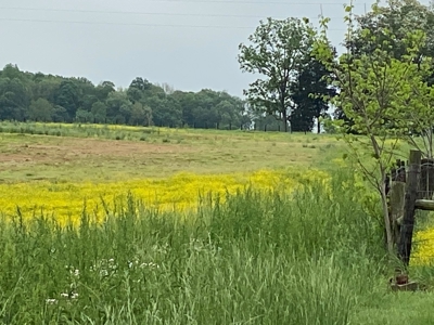 59 Acre Farm In Barren County, KY AT Auction, Coming Soon... - image 35