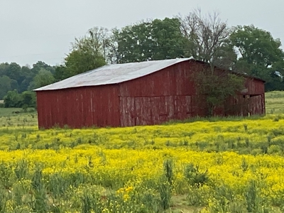 59 Acre Farm In Barren County, KY AT Auction, Coming Soon... - image 33