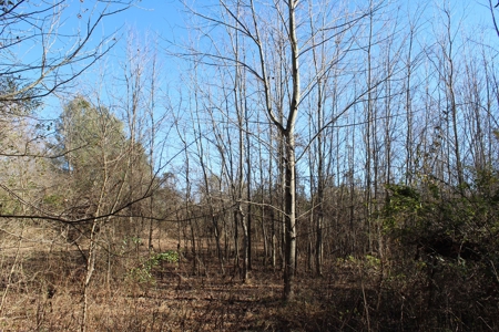 Prime 14.3 Acres of Warren County Land for sale at Auction - image 13