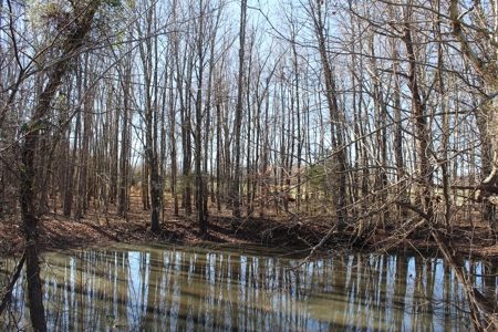 Prime 14.3 Acres of Warren County Land for sale at Auction - image 10