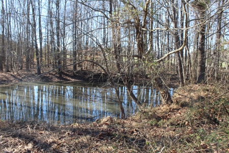 Prime 14.3 Acres of Warren County Land for sale at Auction - image 8