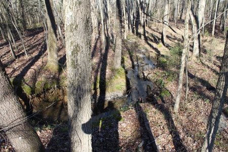 Prime 14.3 Acres of Warren County Land for sale at Auction - image 14