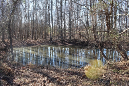 Prime 14.3 Acres of Warren County Land for sale at Auction - image 7