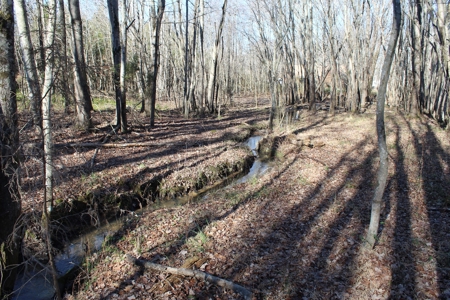 Prime 14.3 Acres of Warren County Land for sale at Auction - image 16