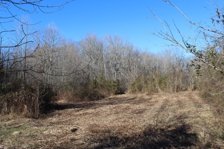 Prime 14.3 Acres of Warren County Land for sale at Auction - image 6