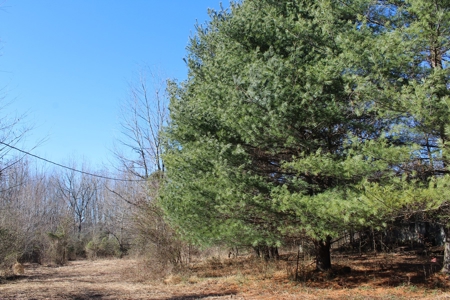 Prime 14.3 Acres of Warren County Land for sale at Auction - image 2