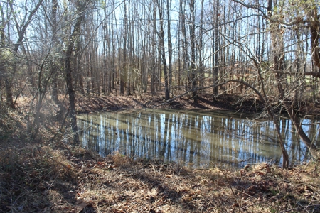Prime 14.3 Acres of Warren County Land for sale at Auction - image 9