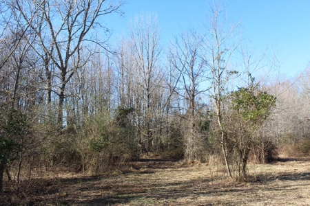 Prime 14.3 Acres of Warren County Land for sale at Auction - image 5