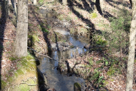 Prime 14.3 Acres of Warren County Land for sale at Auction - image 15