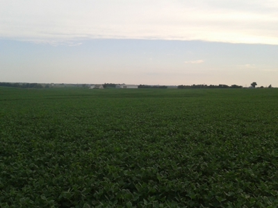 Tract 1 Of 3 Sealed Bid Auction - Quality Gentry County Farm - image 5
