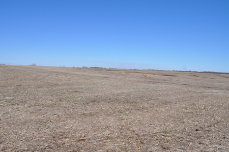 Tract 2 Of 3 Sealed Bid Auction - Quality Gentry County Farm - image 4