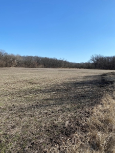 Tract 2 Of 3 Sealed Bid Auction - Quality Gentry County Farm - image 8