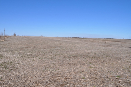 Tract 2 Of 3 Sealed Bid Auction - Quality Gentry County Farm - image 3