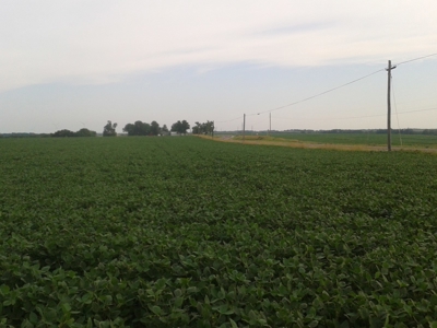 Tract 2 Of 3 Sealed Bid Auction - Quality Gentry County Farm - image 9