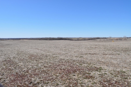 Tract 3 Of 3 Sealed Bid Auction - Quality Gentry County Farm - image 5