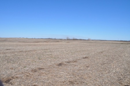 Tract 3 Of 3 Sealed Bid Auction - Quality Gentry County Farm - image 3