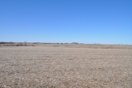 Tract 3 Of 3 Sealed Bid Auction - Quality Gentry County Farm - image 4