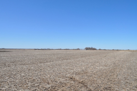 Tract 3 Of 3 Sealed Bid Auction - Quality Gentry County Farm - image 2