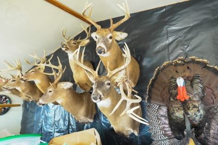 The Columbia County Land & Home Live Auction May 15th 2021 - image 23