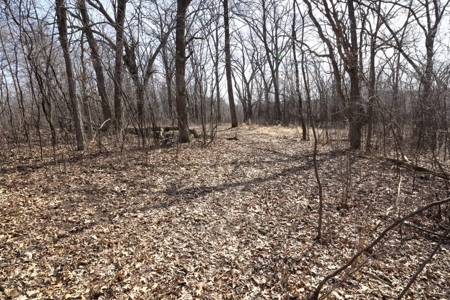 The Columbia County Land & Home Live Auction May 15th 2021 - image 13