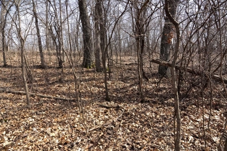 The Columbia County Land & Home Live Auction May 15th 2021 - image 12