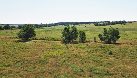 Oklahoma Ranch - 314 Acres - Northern Caddo County - image 12