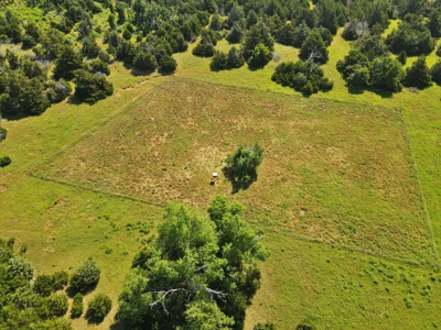 Oklahoma Ranch - 314 Acres - Northern Caddo County - image 24